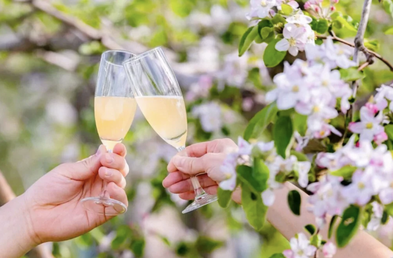 Cider cheers in blossoms - Ezra Johnson-Greenough