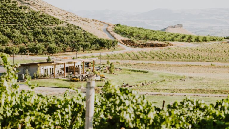Idaho Wine Month 17th Annual