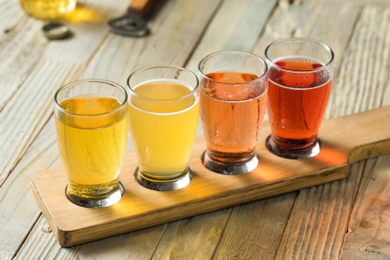 Cider Flight - Multicolor